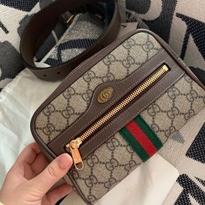Gucci Ophidia Purse - Fanny Back